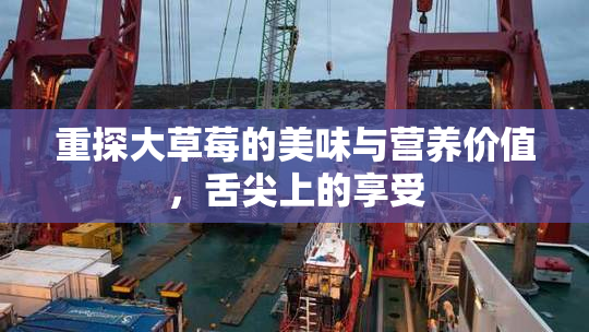 重探大草莓的美味与营养价值，舌尖上的享受