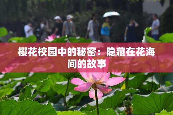 樱花校园中的秘密：隐藏在花海间的故事