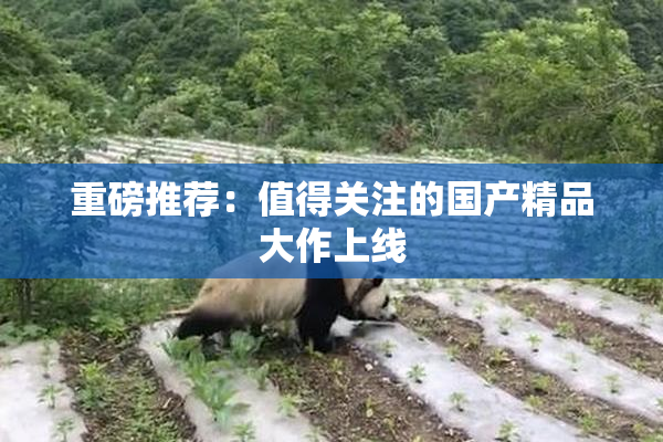 重磅推荐：值得关注的国产精品大作上线
