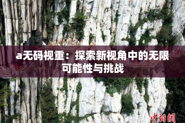 a无码视重：探索新视角中的无限可能性与挑战