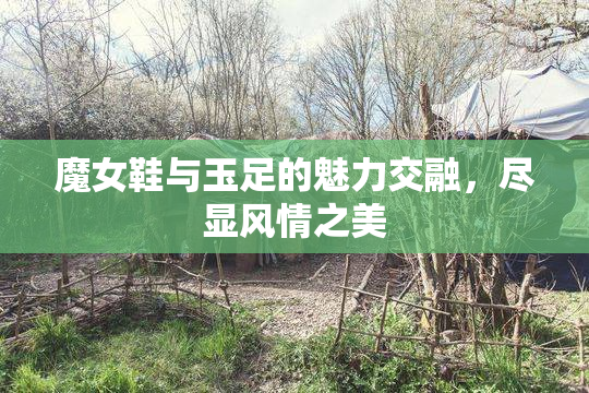 魔女鞋与玉足的魅力交融，尽显风情之美