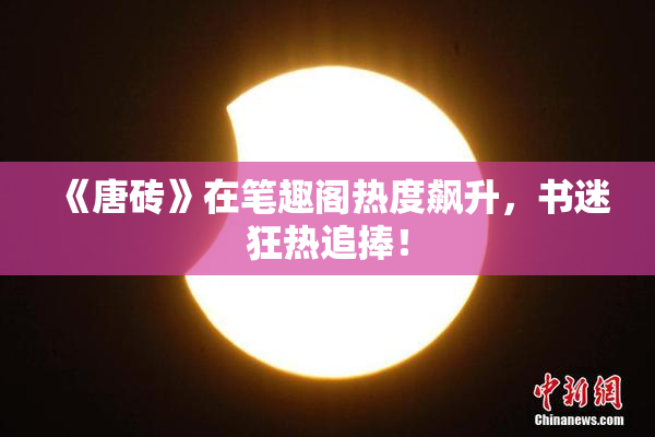 《唐砖》在笔趣阁热度飙升，书迷狂热追捧！