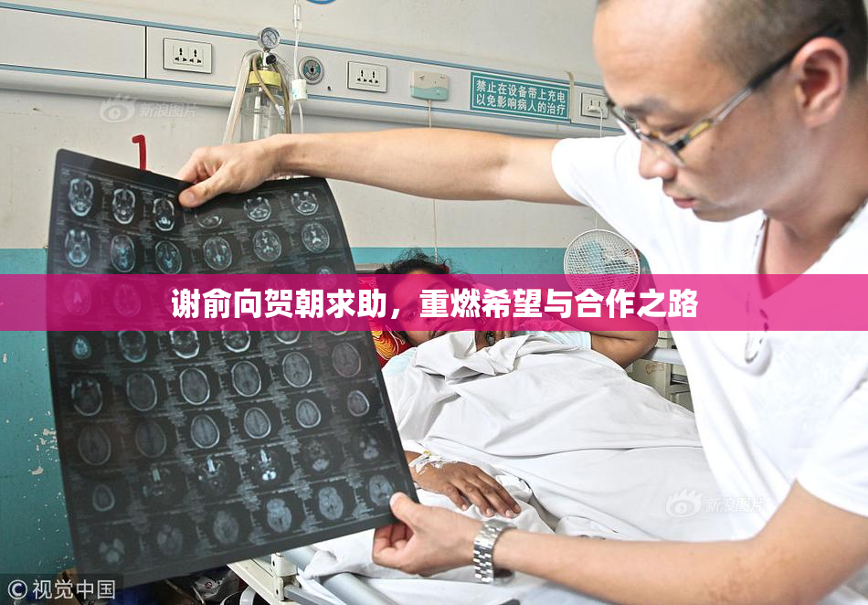 谢俞向贺朝求助，重燃希望与合作之路