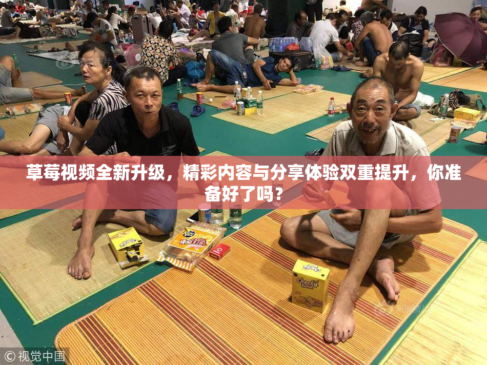 草莓视频全新升级，精彩内容与分享体验双重提升，你准备好了吗？