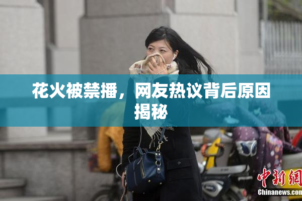 花火被禁播，网友热议背后原因揭秘