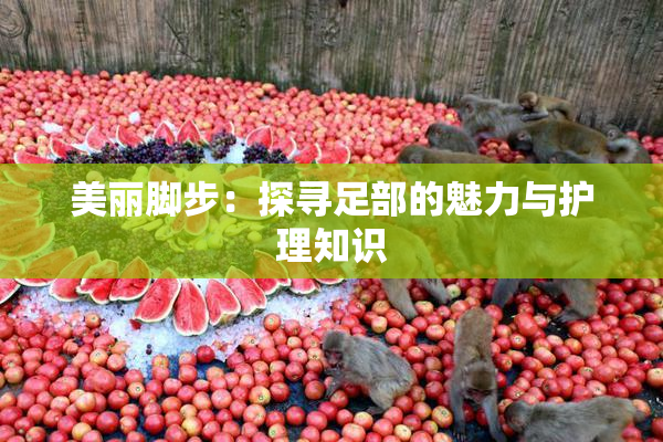 美丽脚步：探寻足部的魅力与护理知识