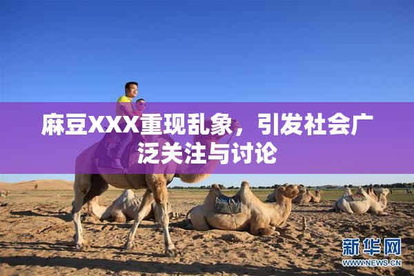 麻豆XXX重现乱象，引发社会广泛关注与讨论