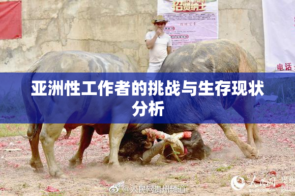 亚洲性工作者的挑战与生存现状分析