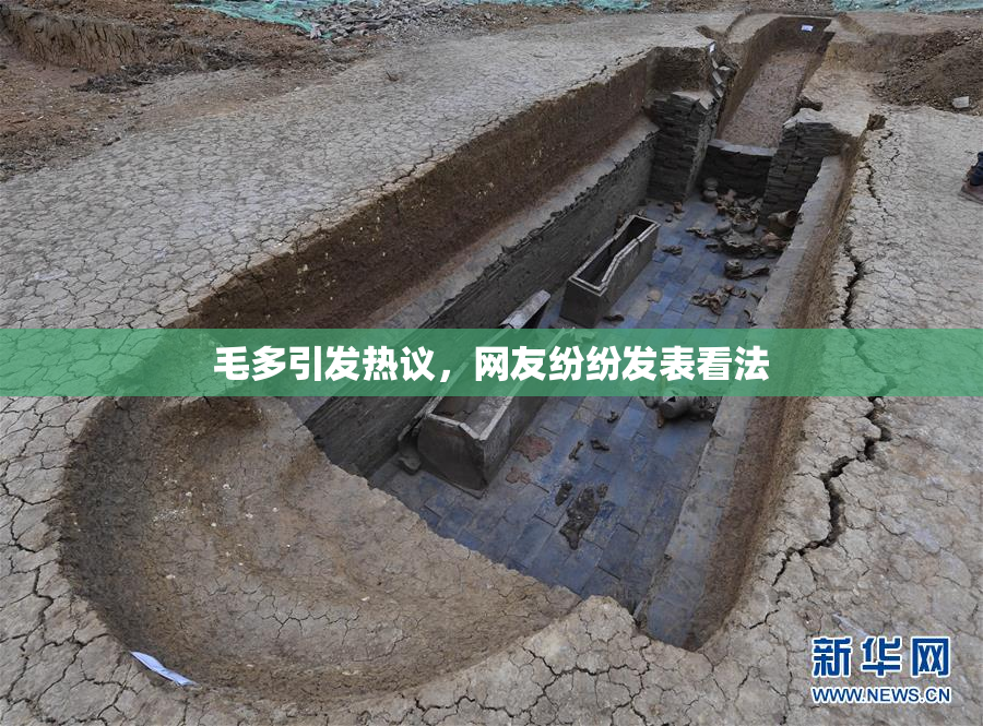毛多引发热议，网友纷纷发表看法
