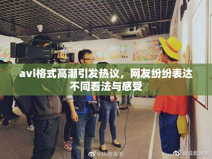 avi格式高潮引发热议，网友纷纷表达不同看法与感受