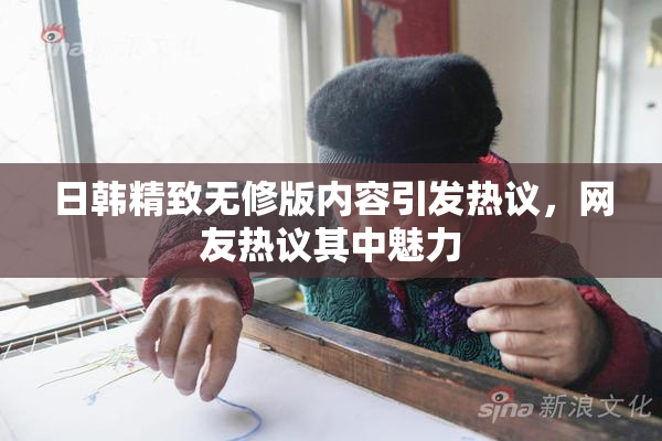 日韩精致无修版内容引发热议，网友热议其中魅力