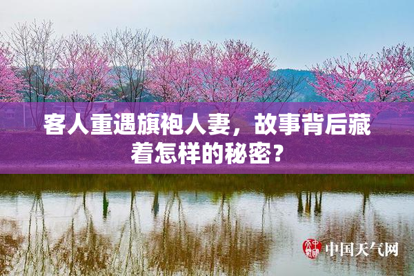 客人重遇旗袍人妻，故事背后藏着怎样的秘密？