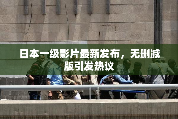 日本一级影片最新发布，无删减版引发热议
