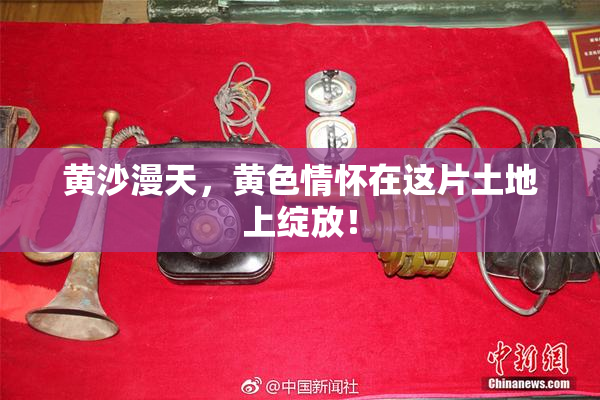 黄沙漫天，黄色情怀在这片土地上绽放！