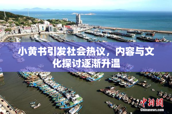 小黄书引发社会热议，内容与文化探讨逐渐升温