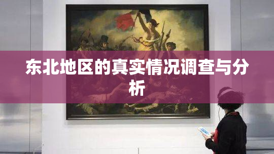 东北地区的真实情况调查与分析