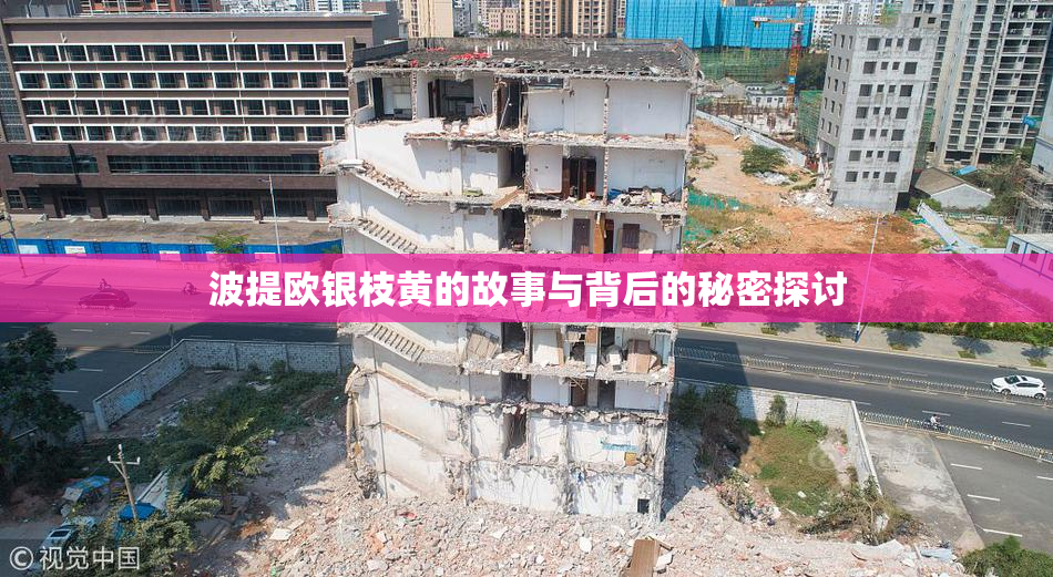 波提欧银枝黄的故事与背后的秘密探讨