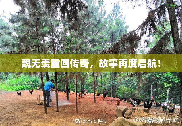 魏无羡重回传奇，故事再度启航！