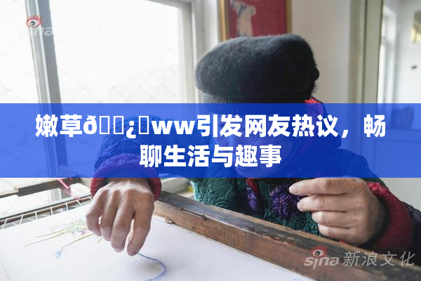 嫩草🌿‌ww引发网友热议，畅聊生活与趣事