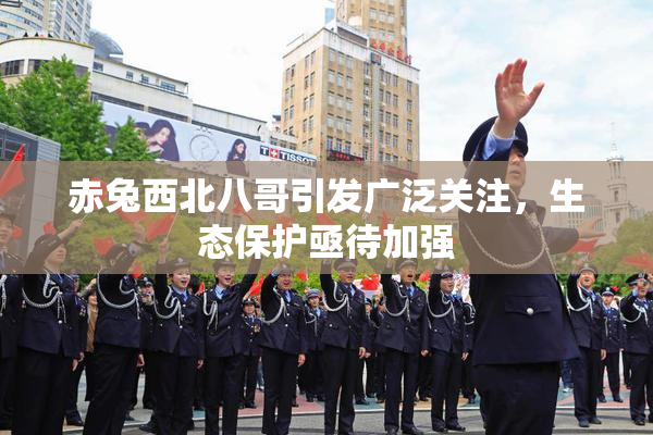 赤兔西北八哥引发广泛关注，生态保护亟待加强