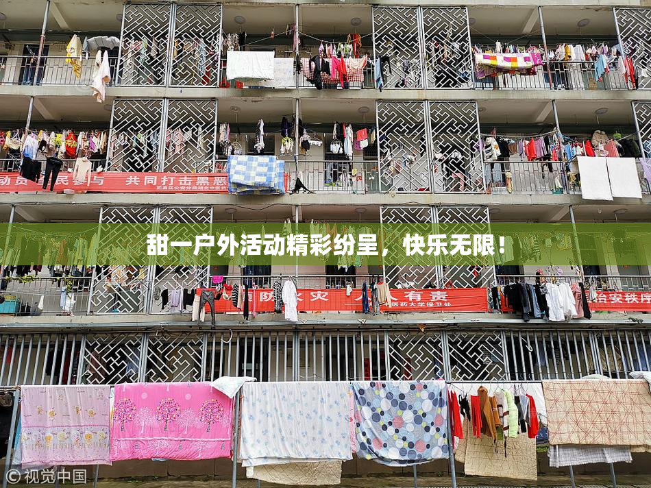 甜一户外活动精彩纷呈，快乐无限！