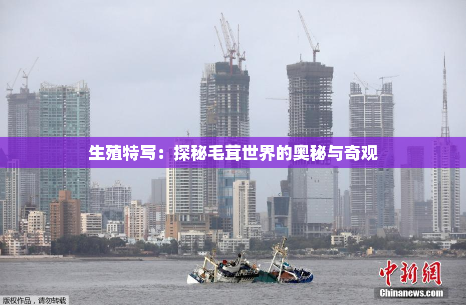 生殖特写：探秘毛茸世界的奥秘与奇观