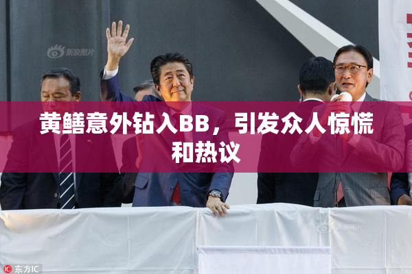 黄鳝意外钻入BB，引发众人惊慌和热议
