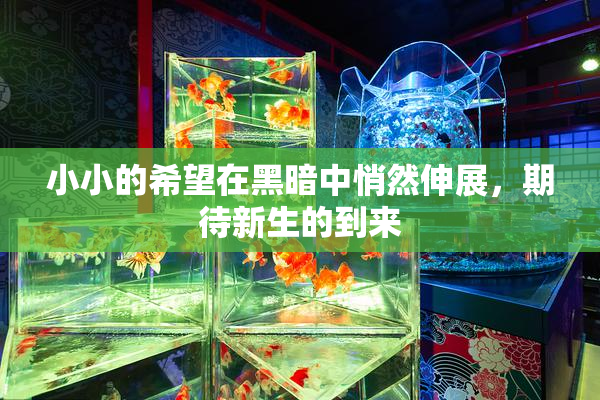 小小的希望在黑暗中悄然伸展，期待新生的到来