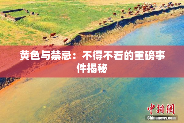 黄色与禁忌：不得不看的重磅事件揭秘