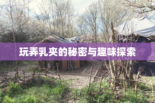玩弄乳夹的秘密与趣味探索
