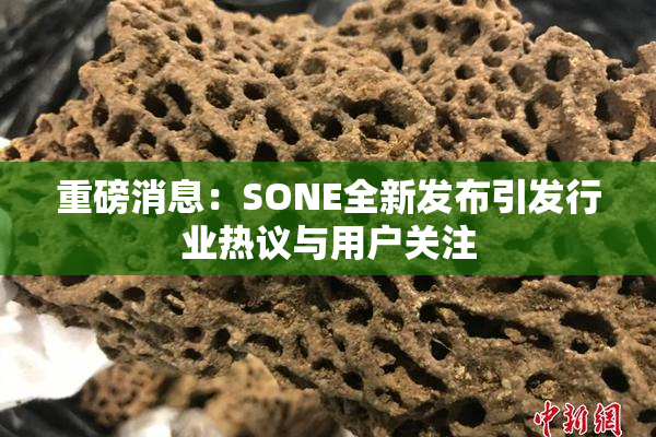 重磅消息：SONE全新发布引发行业热议与用户关注