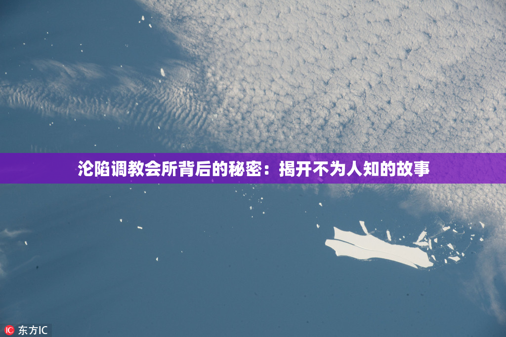 沦陷调教会所背后的秘密：揭开不为人知的故事