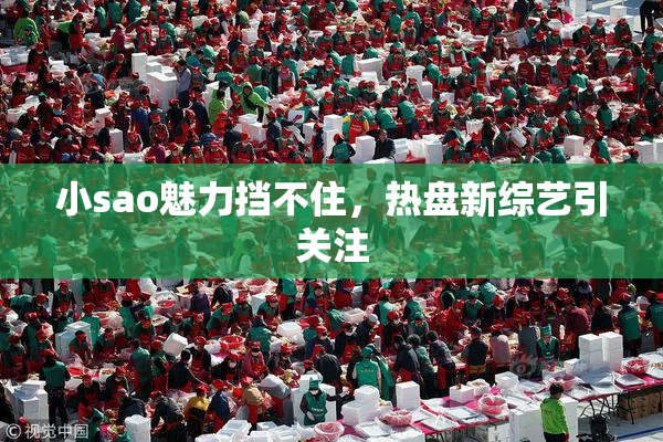 小sao魅力挡不住，热盘新综艺引关注