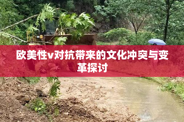 欧美性v对抗带来的文化冲突与变革探讨