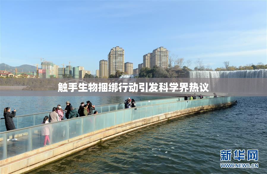 触手生物捆绑行动引发科学界热议