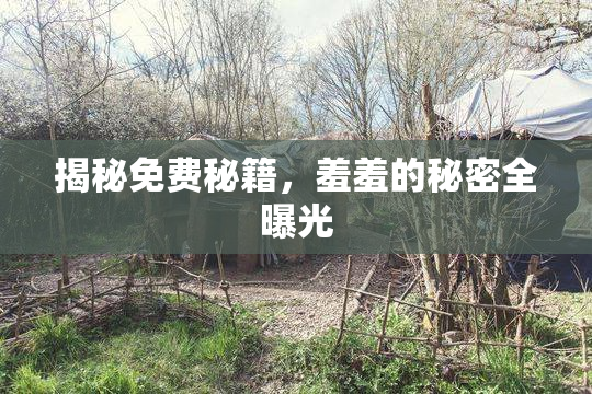 揭秘免费秘籍，羞羞的秘密全曝光