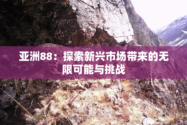 亚洲88：探索新兴市场带来的无限可能与挑战