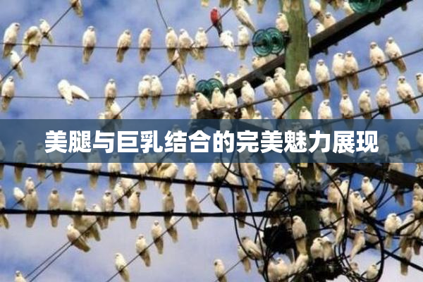 美腿与巨乳结合的完美魅力展现