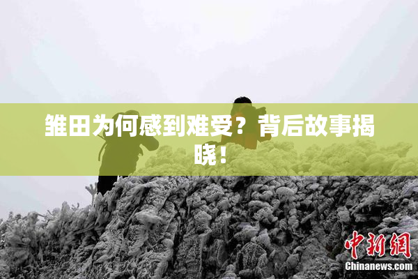 雏田为何感到难受？背后故事揭晓！