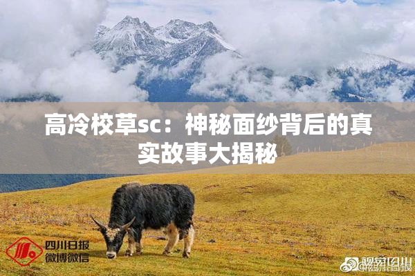 高冷校草sc：神秘面纱背后的真实故事大揭秘