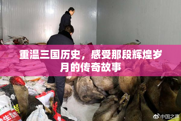 重温三国历史，感受那段辉煌岁月的传奇故事