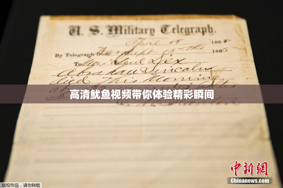 高清鱿鱼视频带你体验精彩瞬间