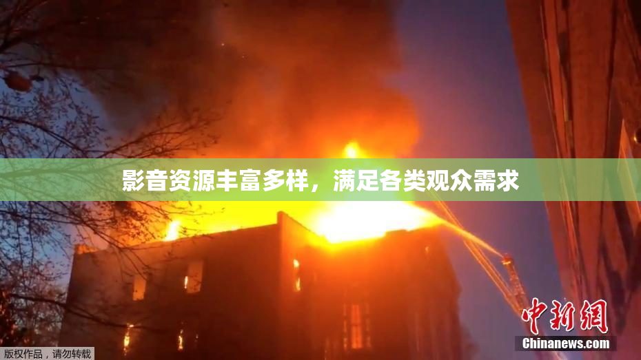 影音资源丰富多样，满足各类观众需求