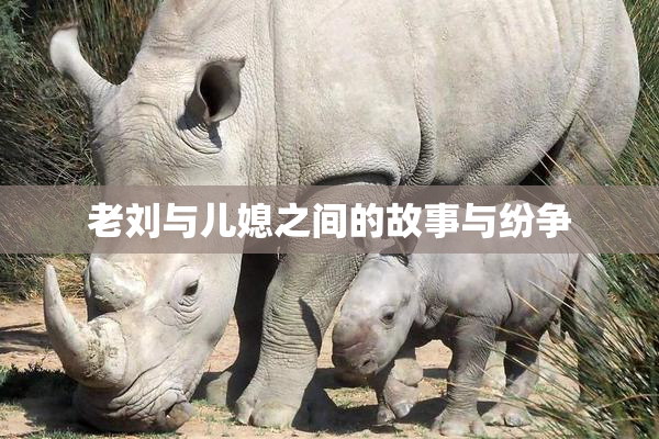 老刘与儿媳之间的故事与纷争