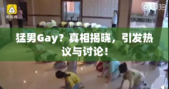 猛男Gay？真相揭晓，引发热议与讨论！