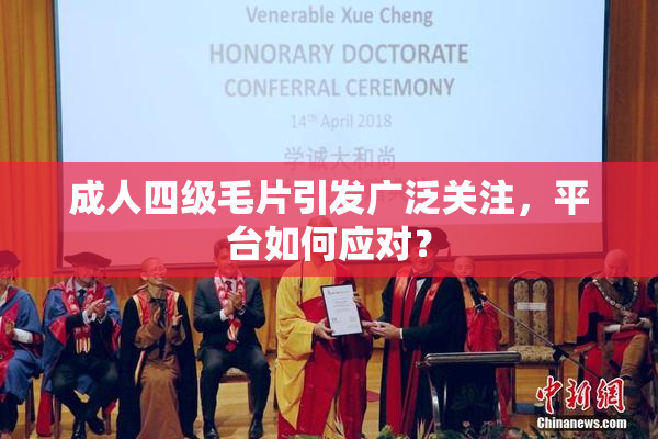 成人四级毛片引发广泛关注，平台如何应对？