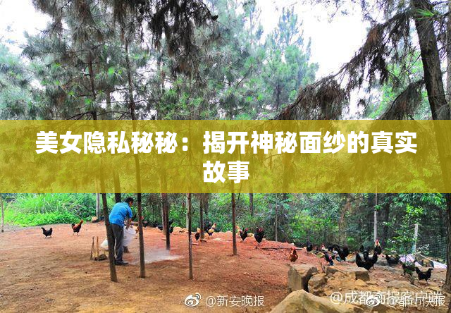 美女隐私秘秘：揭开神秘面纱的真实故事