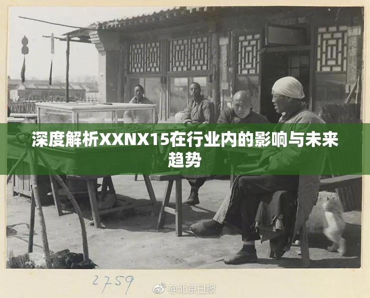 深度解析XXNX15在行业内的影响与未来趋势