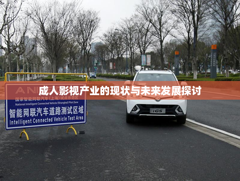 成人影视产业的现状与未来发展探讨