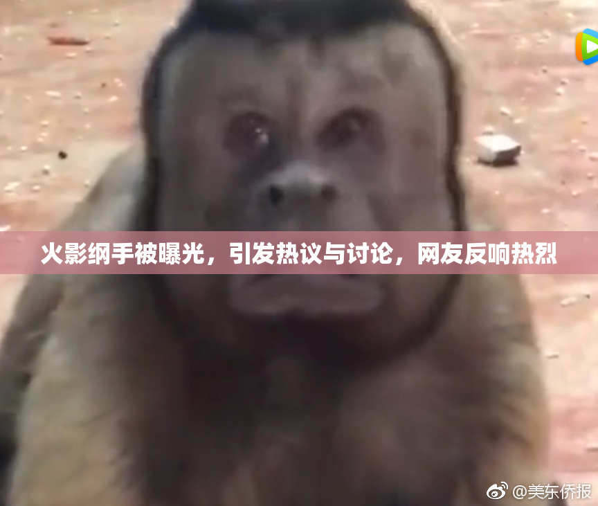 火影纲手被曝光，引发热议与讨论，网友反响热烈